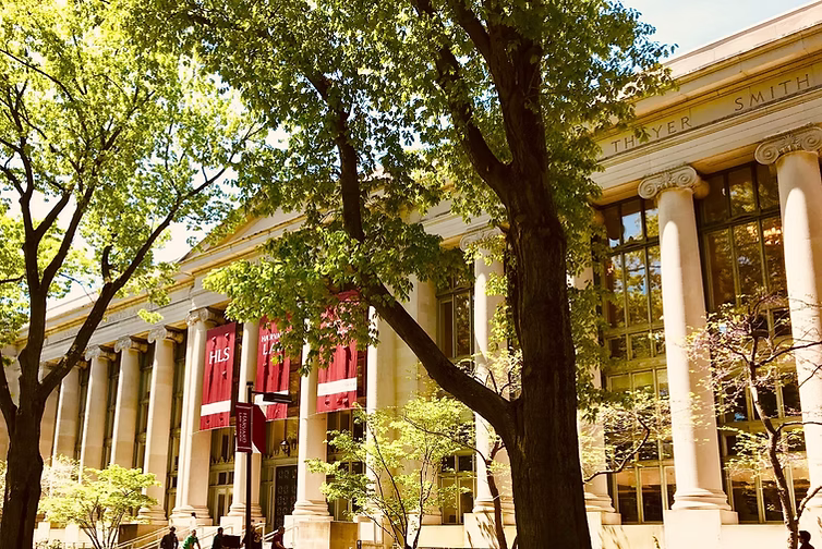 斯坦福校园图片